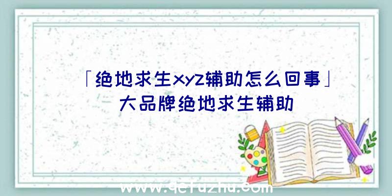「绝地求生xyz辅助怎么回事」|大品牌绝地求生辅助